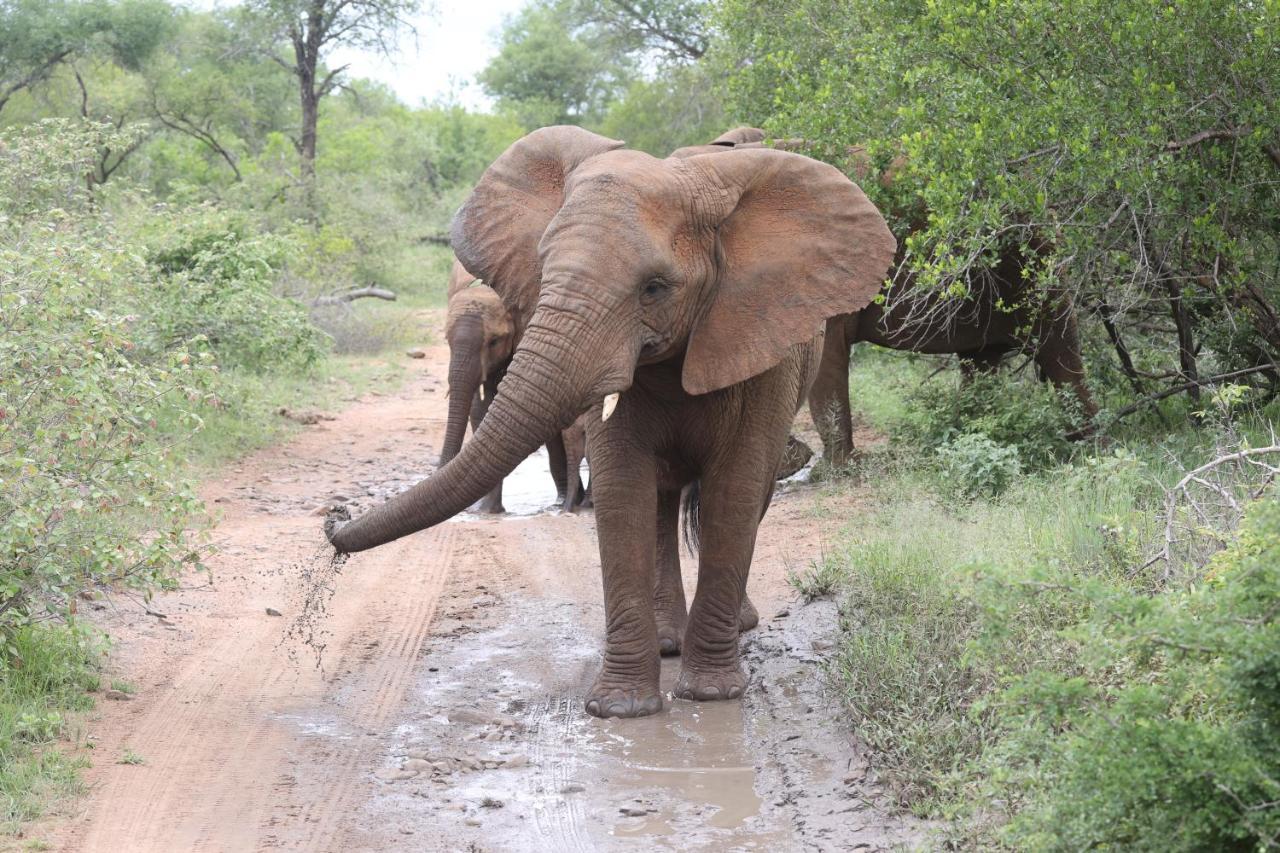 Kuname alojamiento Karongwe Game Reserve Exterior foto