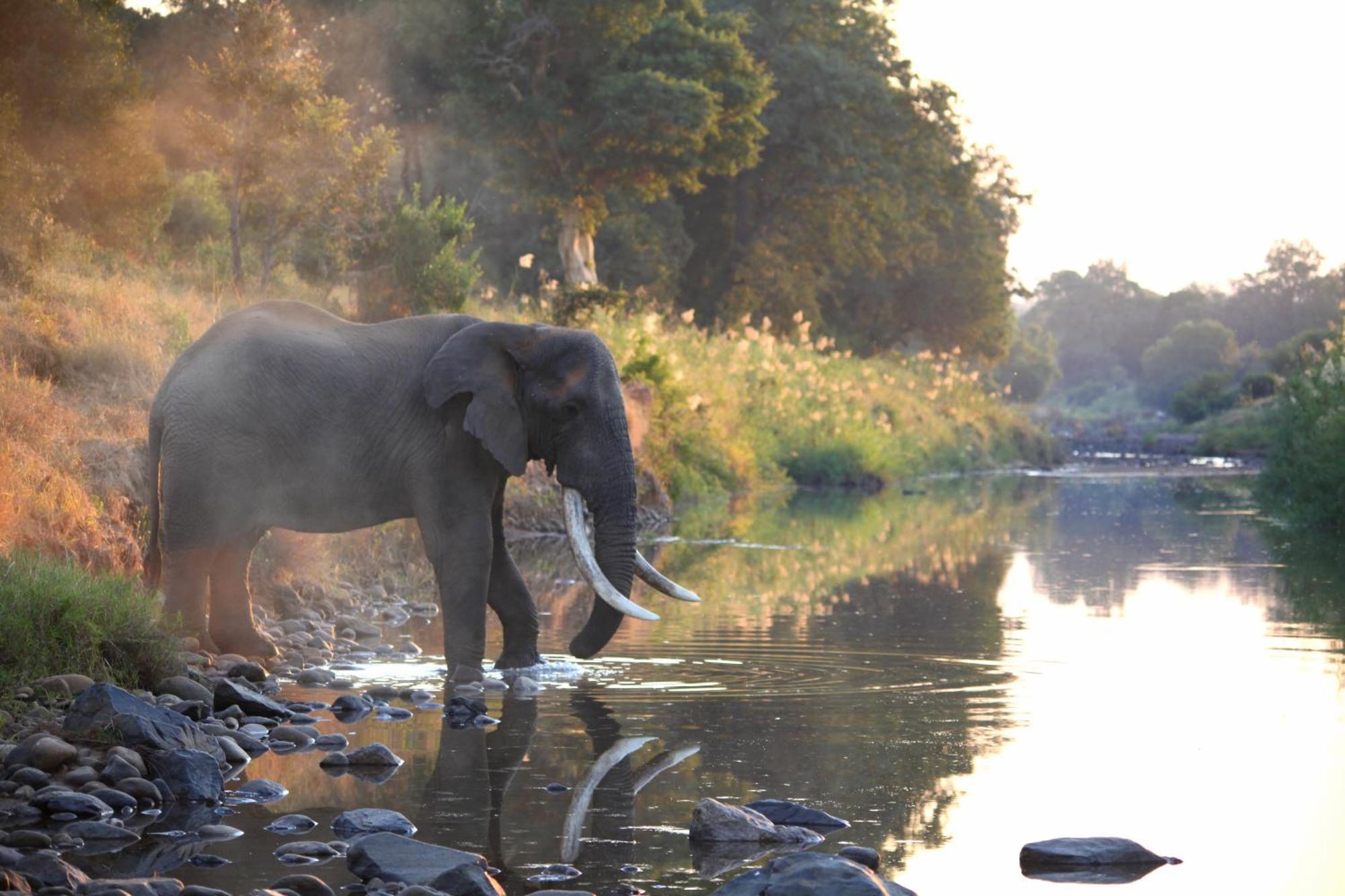 Kuname alojamiento Karongwe Game Reserve Exterior foto